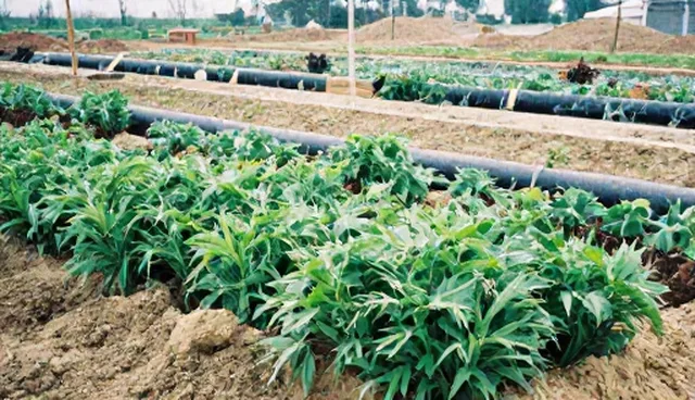 管网工程如何把握市场机遇中的施工环节与后期维护