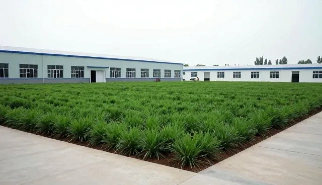 机电系统在绿化苗木应用场景中的关键作用